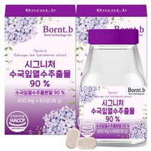 본트비 시그니처 수국잎열수추출물 90% 600mg x 60정 2박스, 없음, 2개