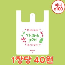 배달용 비닐봉투 업소용 반투명 배달봉투 미니 100입 (22*33*12) 주문 리뷰 감사합니다 딜리버리몬스터, 100개