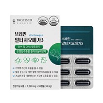 브레인 알티지 rTG 오메가3 EPA DHA 은행잎 추출 노르웨이산 정제어유 플라보놀 배당체 시니어 중년 남자 여자 부부, 1통, 30캡슐