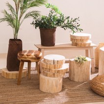 히노끼 편백 통나무 화분대 통원목 소품 받침대 화분다이 거치대, 높이 17-19cm