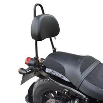 아퀼라300 아퀼라125 등받이 캐리어 튜닝 뒷자석 짐대 오토바이, 단일사이즈, 1_등받이 + 지지