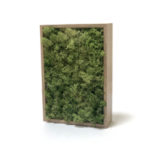 천연 이끼 스칸디아모스 액자 집들이 선물 인테리어 소품 공기정화식물, 주황