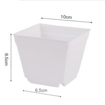 플랜트박스 베란다 실내 옥상 주차장 텃밭 화분 미니 화분 7cm 10cm 작은 사이즈 플라스틱 식물 재배, 05 white 10cm_03 10pcs