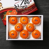 [빛과나무] 자연속 빛가득 제주천혜향세트 3kg(11-15입/특품), 상세 설명 참조