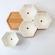 벌집 다육이 화분세트(4ps)/분갈이/소품