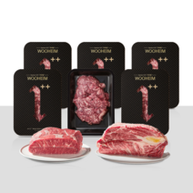 우하임 1++등급 한우 골라담기 17종 등심 안심 갈비 차돌박이 채끝 양지 육회 뭉티기, 토시살 200g