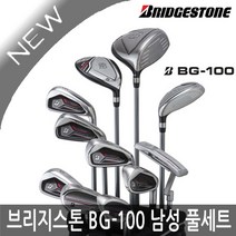 브리지스톤 BG-100 스틸 11개 풀세트(클럽만) 2022년, 스틸(클럽만)