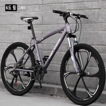 MTB산악 자전거 24/26인치 24단변속 변속 기계식 디스크 브레이크신상 6칼 합금 일체형 휠, 26인치, 은회색