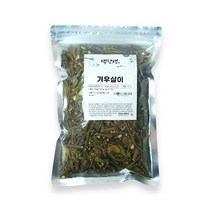 백장생 자연산 국산 겨우살이 차 곡기생, 1.2kg, 1개