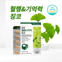 디아이하트 광동 은행잎추출물 징코 Ginko 혈행 기억력 메모리 플라보놀배당체 비타민 아연 셀렌 6중 복합기능 소형정제 어르신 수험생 추천 영양제, 60정, 4개