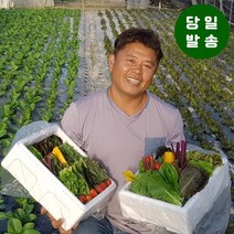 [물맑은 양평] 지평 농부 모듬쌈채소(1kg)