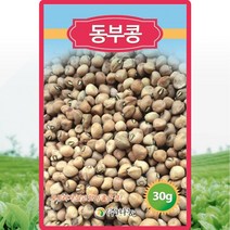동부콩 씨앗 동부 콩씨 재래종 황색 종자 30g, 1개
