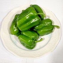 피망 청피망 특품1kg 5kg 10kg 파프리카, 피망5kg