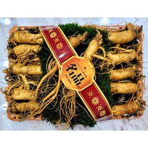 증평인삼 6년근 선물용 수삼판매 산지직송, 1, 상품옵션2/1채반(1125g)
