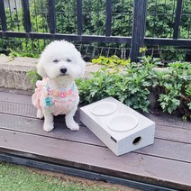 마블퀸 인조대리석 그레이 빗면 반려견 반려묘 밥그릇 소형