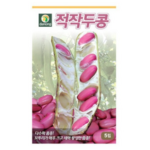 적작두콩 씨앗 30립 OK, 6개