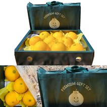 [선물포장 농장직송] 고당도 제주 황금향 선물세트 2kg 3kg 5kg 가정용 선물용 선물 산지직송, 1박스, 2kg (5-12과 선물포장부직포가방)