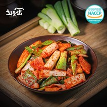 임실 회문산식품 전라도 대파김치 100% 국내산 재료, 5kg