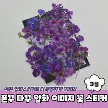 mh_폰꾸 다꾸 폰꾸스티커 꽃 다꾸스티커 이미지 퍼플 스티커 꽃스티커 압화스티커 압화, 상세페이지 참조