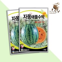 자몽 애플 수박 10립 세계종묘 과채류 씨앗