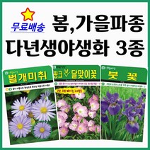 아람종묘 봄 가을파종 다년생꽃씨 3종세트 가을꽃씨 노지월동 야생화 벌개미취 분홍낮달맞이 붓꽃 아이리스 분홍달맞이꽃 개미취 종자 주주씨앗