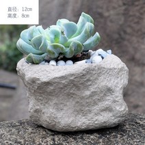 수련 나무 수경 어항 원형 받침대 자연 도자기 수반 심플 화분, 16.밝은 색