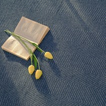 노아크바이 논슬립 먼지없는 탄탄 러그 카페트