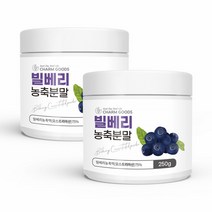 빌베리농축분말 250g2병 빌베리 안토시아닌 눈영양제추천 눈건조할때 빌베리분말 루테인지아잔틴추천 눈피로