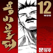 학산문화사(만화) 새책-스테이책터 [용비불패 12] -애장판--학산문화사(만화)-문정후 지음-무협-20110112 출간-판형 128x188(, 용비불패 12