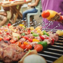 캠핑 타임 바비큐 꼬치 10p세트 그릴 스텐 용품 꽂이 구이용 그릴 BBQ 바베큐 쇠꼬치 스테인리스 야외