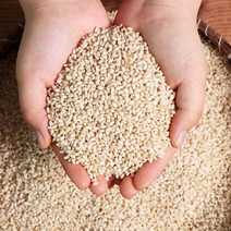 싸리재마을 콩사랑 국산 유기농 현미찹쌀가루 1kg