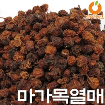 마가목열매 마가목껍질 마가자 효능 먹는법, 마가목열매300g, 1개