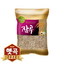 현대농산 2022년산 햇곡 새싹보리 씨앗 4kg 국산 겉보리쌀, 1개