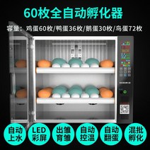 부화기 입문용 2021년 신상품 조류 자동 부화 병아리 계란부화기 36란 실험, 28. 계란부화기 60란