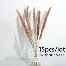 인조갈대 102050pcs 진짜 밀 귀 꽃 장식 자연 팜파스 토끼 꼬리 잔디 말린 1세트, 15pcs 자연