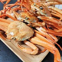 청정 동해 구룡포 실속형 연지홍게 5kg 15미 내외, 단품
