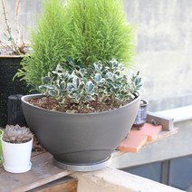 국산 대형 플라스틱 타원형 화분(300사이즈), 메탈그레이