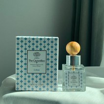 3+1 더퀸비 프리미엄 미니디퓨저 50ml 레드후룻 (차량용 화장실 오피스 디퓨저), 로터스