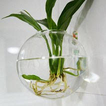 꽃화병 북유럽 엔틱화병 세라믹 모던 도자기 플라스틱 빈티지 특이한 아크릴 오브제 유리 꽃 식물 스탠드 매달려 수경 공 투명 투명 라운드 테라리움 컨테이너 홈 웨딩 정원 장식, 투명한