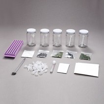 광합성 색소 분리 세트(박층 크로마토그래피 세트)-DCX6506