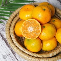 [리뷰 6700건 이상] 믿음직한 제주 햇 귤, 1box, 제주감귤 5kg(L/2L)