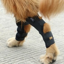 애견 소형견 애완동물 반려견 대형견 강아지 보조기 보호대 무릎, 옵션1, S