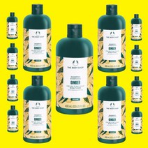 더바디샵 진저 스켈프 케어 샴푸 두피샴푸 두피관리 모발강화샴푸 400ml x 2, 상세페이지 참조