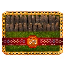 금산고려 더덕선물세트 특품1호 1.5kg(30편-40편), 1세트