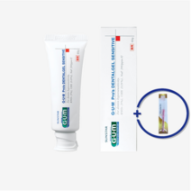 GUM 검 덴탈겔SE치약65g 1개+국산치과 초미세모칫솔 1개 1세트 옵션택일, 2세트
