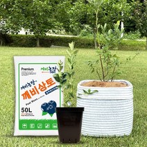 깨비농장 블루베리 재배 1주 DIY 세트 [블루베리 나무 + 화분 + 상토 세트], 4. 휴론 세트 (09012216)