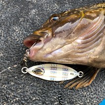 슬로우지그 SLW002 빅게임 메탈지그 지깅메탈 부시리 방어 삼치 대구 메탈, 200g, 04 실버지브라