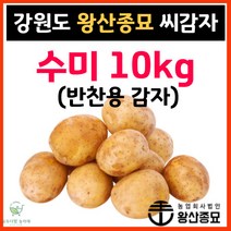 왕산종묘 수미 씨감자 [ 수미 10kg ] 반찬용 감자 감자씨앗 햇감자 정품씨감자 대서 두백 홍영 자영 백작 왕산 수미 씨감자 강원도 씨감자, 수미 10kg (반찬용)