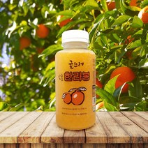(100% 착즙) 제주농장 한라봉 / 천혜향 주스 240ml 7개입/14개입, 7개입