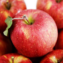 부사 햇사과 싱싱하고 달콤한 소미네 꿀사과, 1박스, 06.가정용사과 5kg 중과 (15과~16과내외)